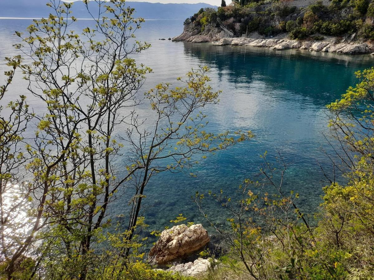 Apartment "Villa M" Kostrena Εξωτερικό φωτογραφία